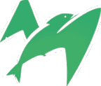 fmsg.io logo